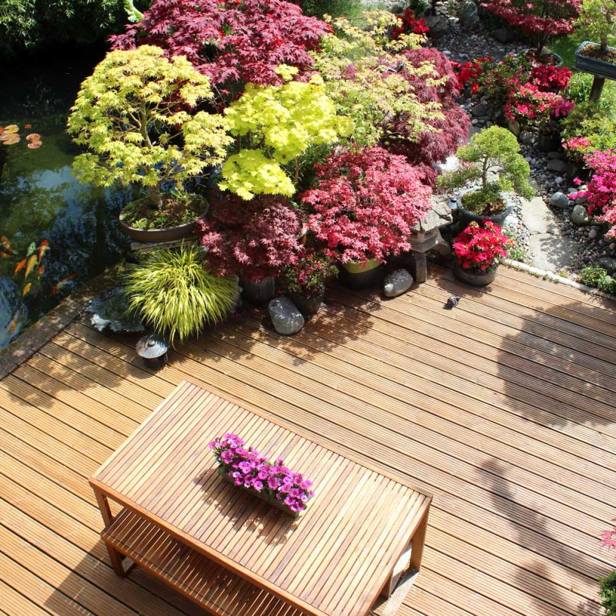 panorama-decking Rivestimento esterno in bambù